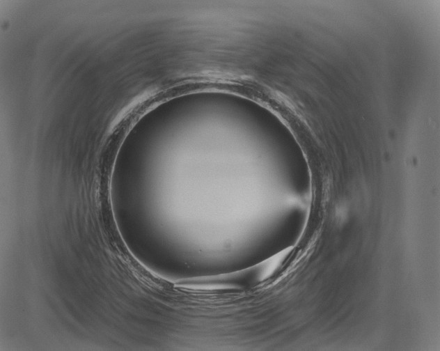 X0000085261307200703091313