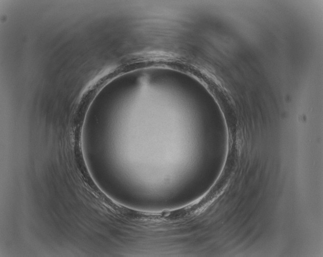 X0000085261309200703091313