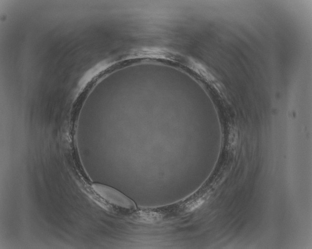 X0000085261312200703091313