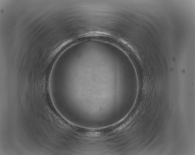 X0000085261313200703091313