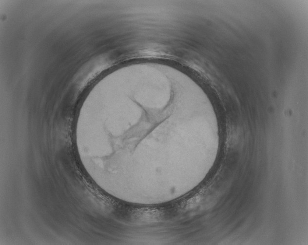 X0000085261314200703091313