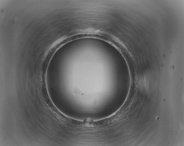 X0000085261315200703091313