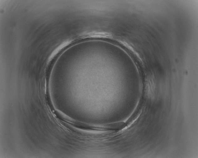 X0000085261317200703091313