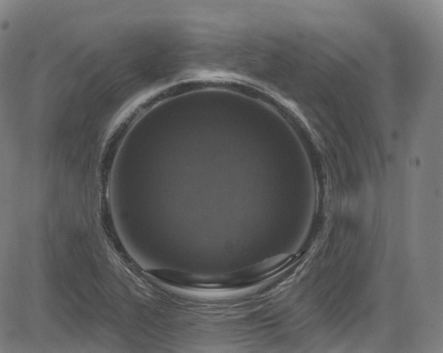 X0000085261319200703091313