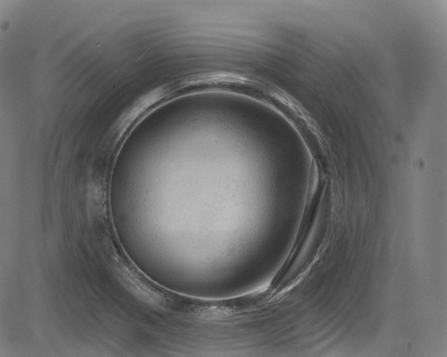 X0000085261321200703091313