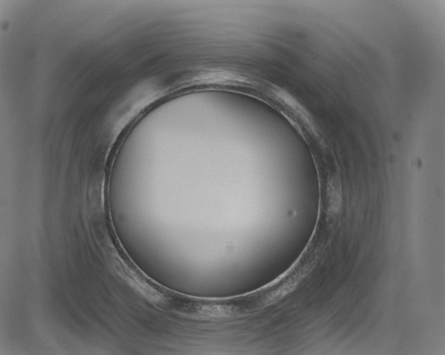 X0000085261322200703091313