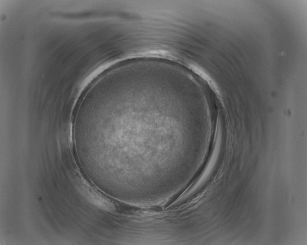 X0000085261324200703091313