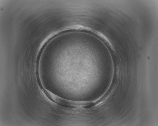 X0000085261326200703091313