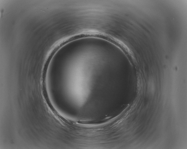 X0000085261327200703091313