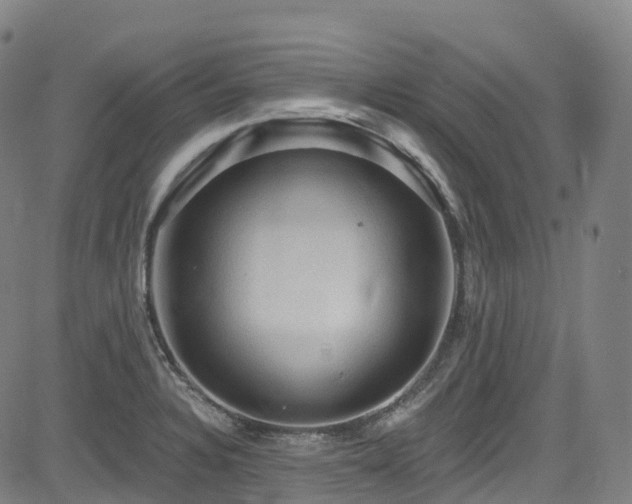 X0000085261328200703091314