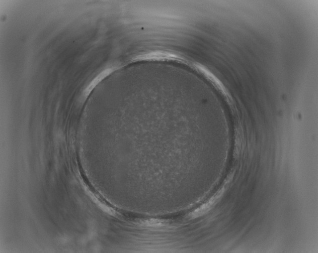 X0000085261329200703091314