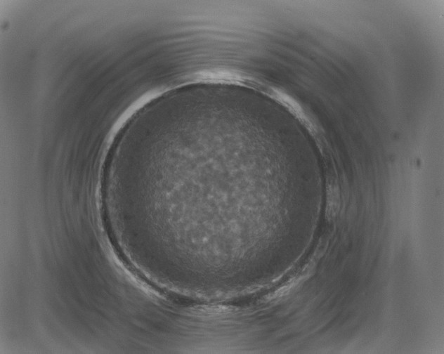 X0000085261331200703091314