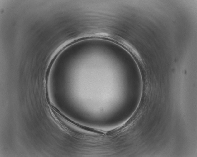 X0000085261332200703091314