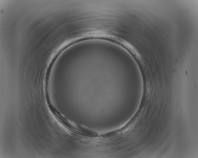 X0000085261334200703091314