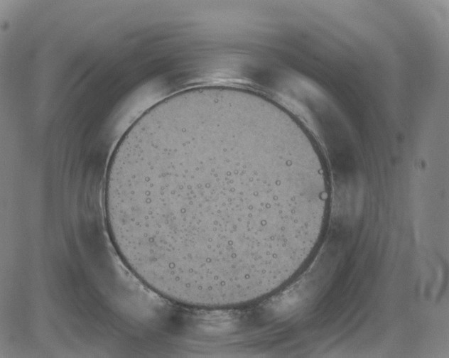 X0000085261338200703091314