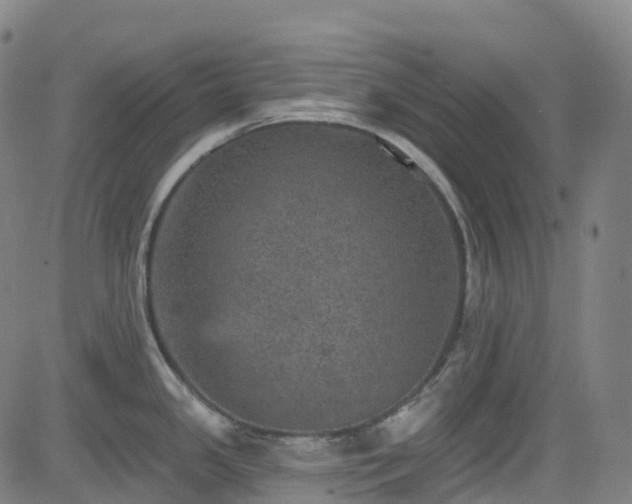 X0000085261341200703091314