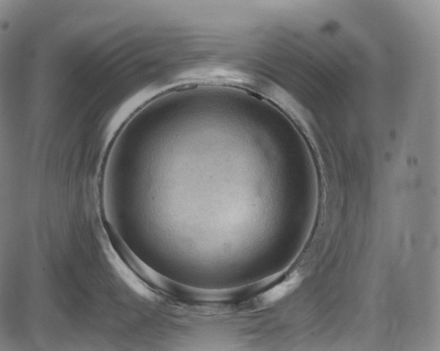 X0000085261344200703091314