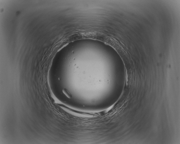 X0000085261345200703091313