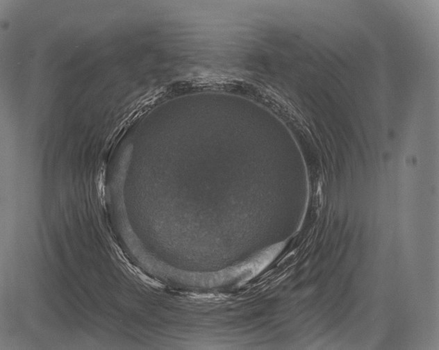 X0000085261348200703091313