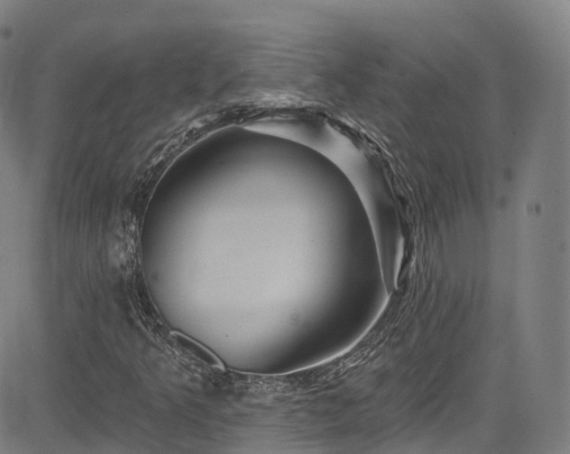 X0000085261349200703091313