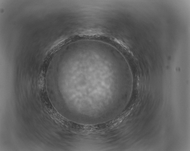 X0000085261350200703091313