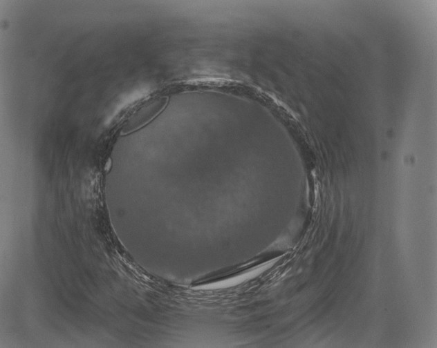 X0000085261351200703091313