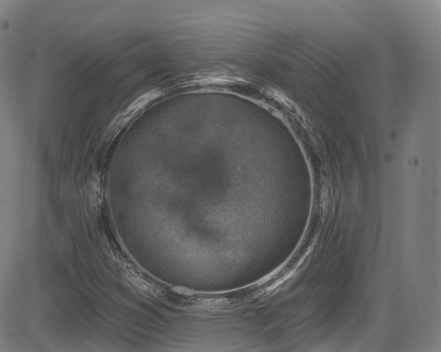 X0000085261353200703091313