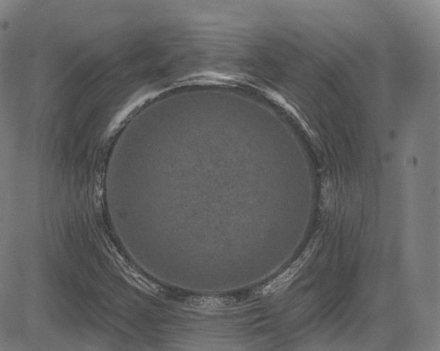 X0000085261355200703091313