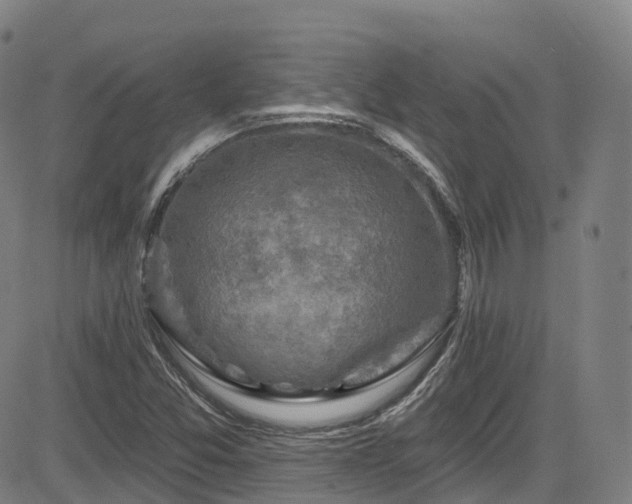 X0000085261357200703091313