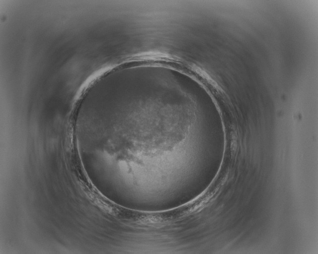 X0000085261358200703091313