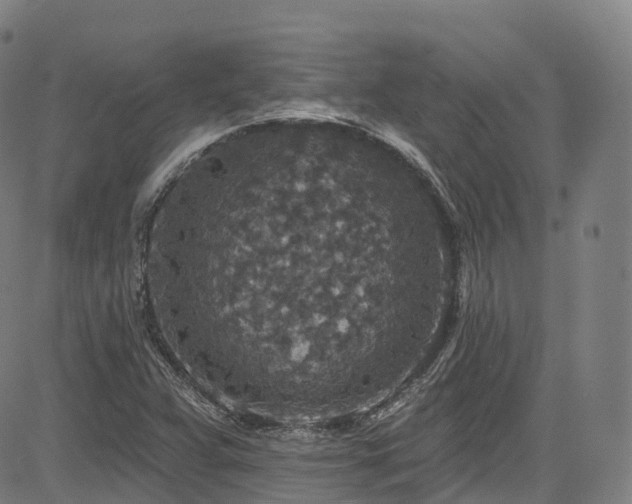 X0000085261359200703091313