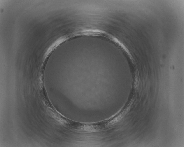 X0000085261362200703091313