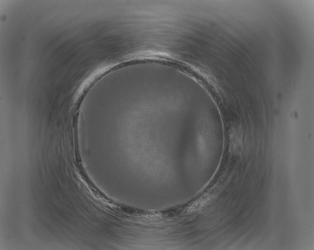 X0000085261363200703091313