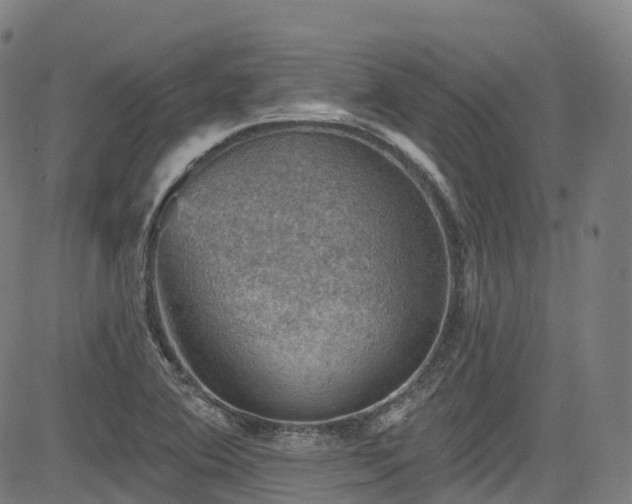 X0000085261364200703091313