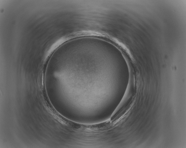 X0000085261365200703091313