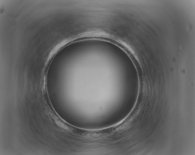 X0000085261366200703091313