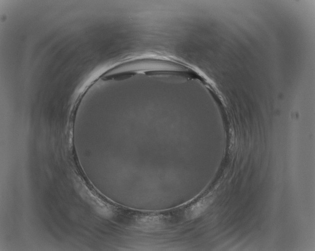 X0000085261367200703091313