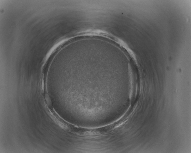 X0000085261368200703091313