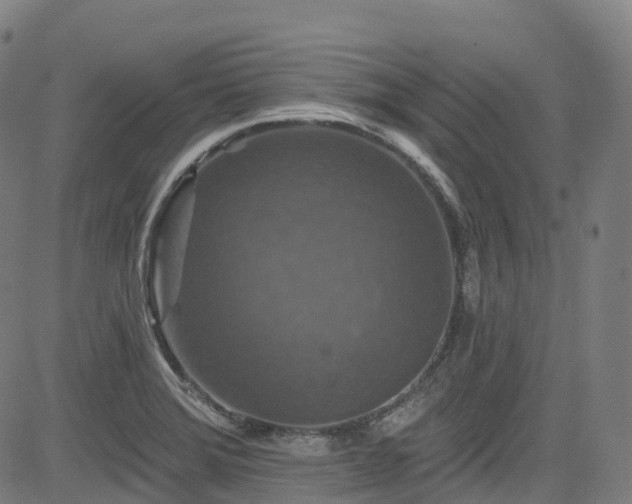 X0000085261372200703091313