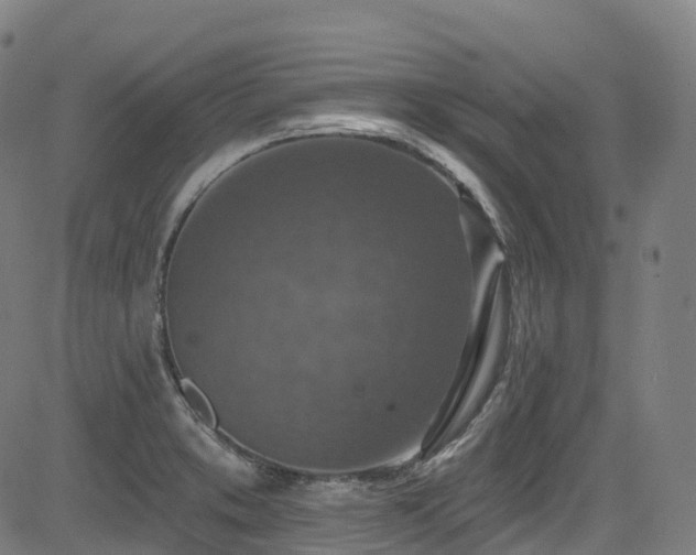 X0000085261373200703091313