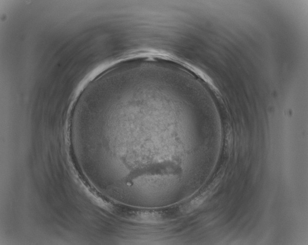 X0000085261375200703091312