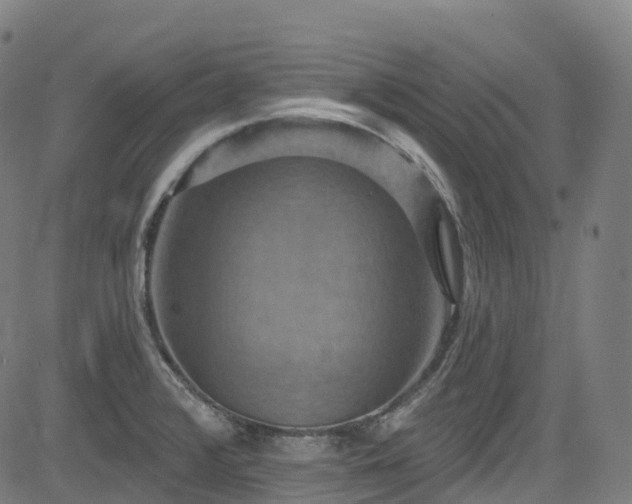 X0000085261376200703091312