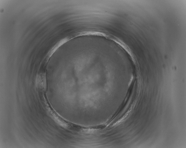 X0000085261377200703091312