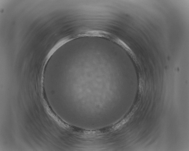 X0000085261378200703091312