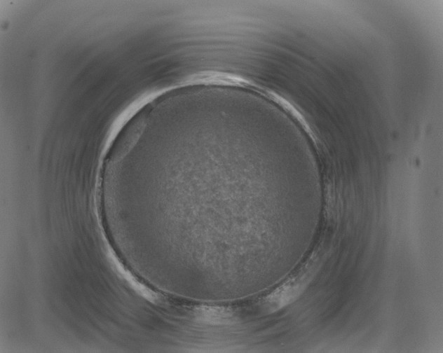 X0000085261379200703091312