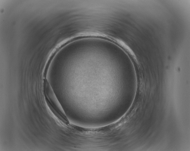 X0000085261380200703091312