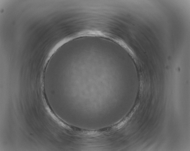 X0000085261382200703091312