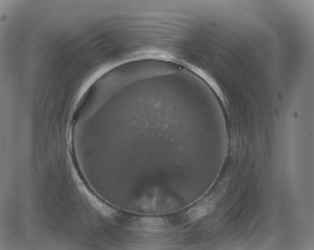 X0000085261383200703091312