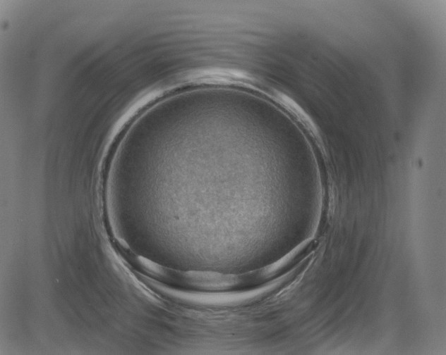 X0000085261384200703091312