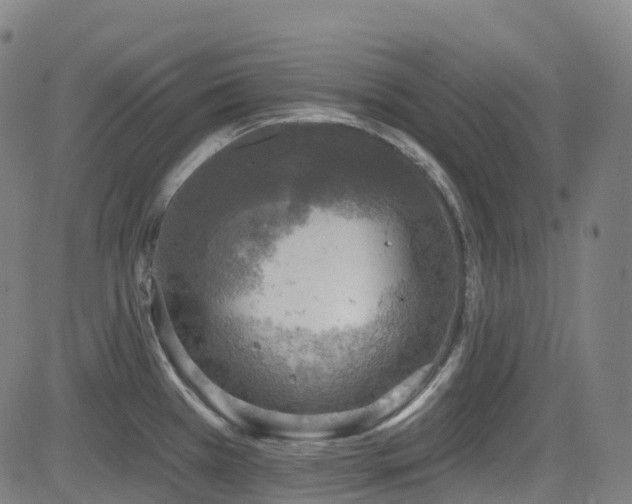 X0000085261385200703091312